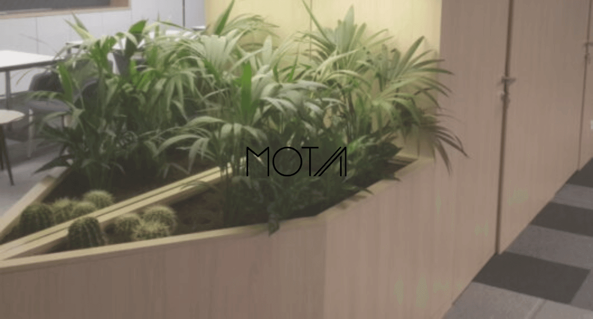 Mota